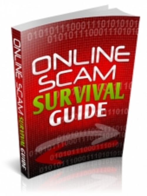 Product picture Online Scam Survival Guide 