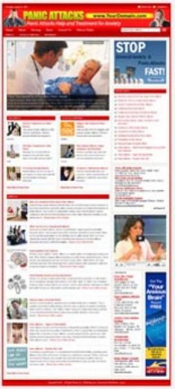 Product picture Panic Attacks Niche Website 