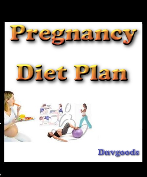 Product picture Pregnancy Diet Plan E-Book With PLR
